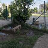 In un angolo si � creato un pantano dovuto a un tubo dell�irrigazione che perde acqua: si � formata cos� una pozza di fanghiglia nella quale i cani vanno a sguazzare per la disperazione dei padroni